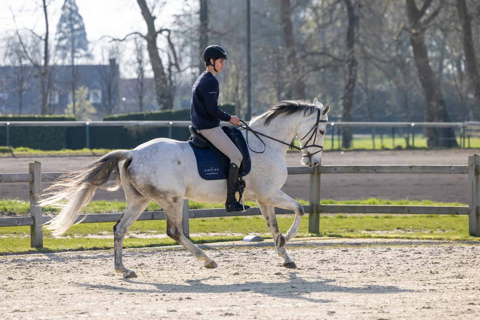 20230405-089A9790Empire_saddles_Belgie